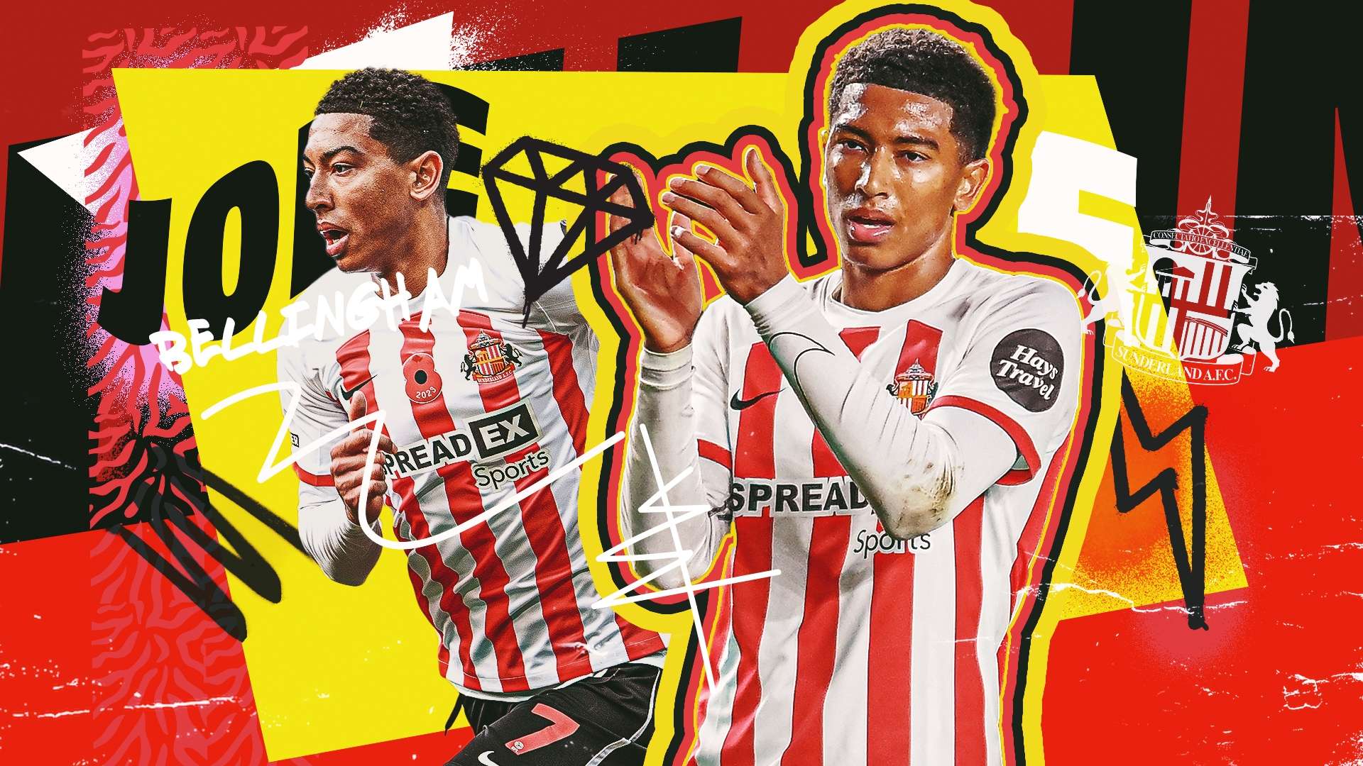 人类活动的 人类活动的